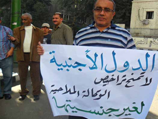 معركة بين القطاعين العام والخاص بشركات الملاحة