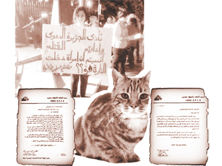 سلخانة نادى الجزيرة