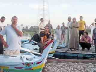 الإخوان.. يقتلون الأسماك فى «البحيرة»