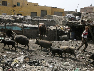خدمة توصيل إنفلونزا الخنازير لسكان عزبة النخل ومنشية ناصر