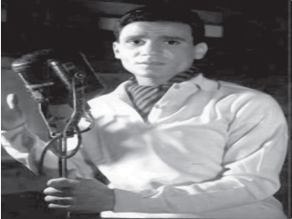 حليم مزيج من ألفيس بريسلى وفرانك سيناترا