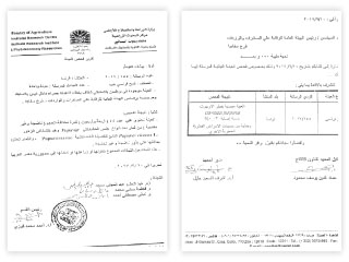 3 دول أوروبية تحاول إغراق مصر بـ«قمح الخشخاش»