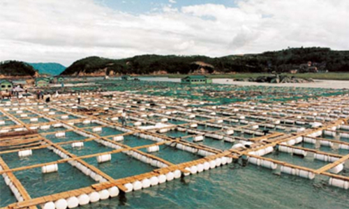 قراءة فى طالع الاقتصاد مع الرئيس القادم