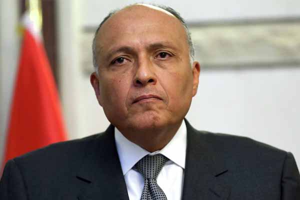 الخارجية تطلق حملة للتعريف بـ«رئاسة مصر للاتحاد الأفريقى»
