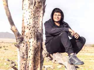 ملوك الـ «free lancer»!