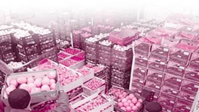 الصادرات الزراعية تحقق رقمًا قياسيًا  بدعم المشروعات القومية خلال 2024 تصدير 8.6 مليون طن بزيادة أكثر من 1.1 مليون طن عن عام 2023 