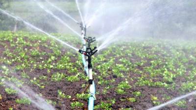 «الرى» تطلق مناورات مائية على مدار الساعة لتأمين احتياجات الزراعة والشرب