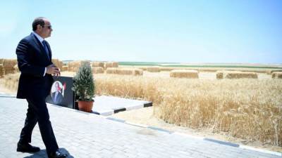 الرئيس السيسي شهد فعاليات موسم حصاد القمح 2025..  مشروع مستقبل مصر.. امتلاك القدرة الزراعية