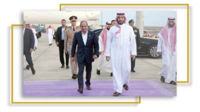 شراكة راسخة