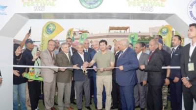 «الإسماعيلية» تتزين فى «مهرجان المانجو»