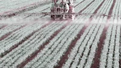 سيناء على خريطة التنمية الشاملة