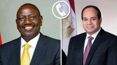 ‎الرئيس السيسي:وحدة وسيادة السودان أمن قومى مصرى