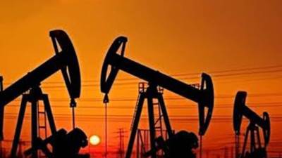 اليوبيل الذهبى للبترول المصرى