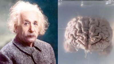 هل تنجح مشروعات استنساخ العبقرية؟