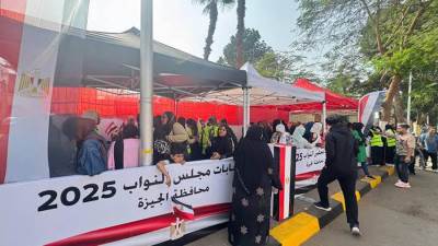 المشهد السياسى والانتخابى فى 2025