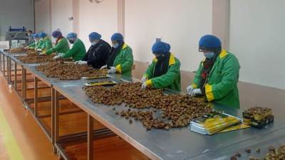 مصنع «تمور التكافل».. مشروع محلى برؤية عالمية