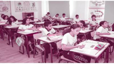  التعليم المصرى  أسئلة لم يجب عنها منذ أيام محمد على باشا