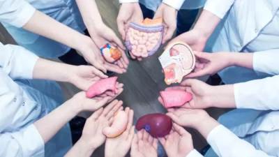 تجارب التبرع بالأعضاء فى العالم