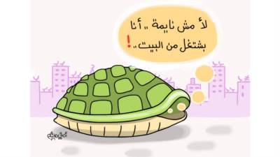 كاريكاتير أمانى هاشم