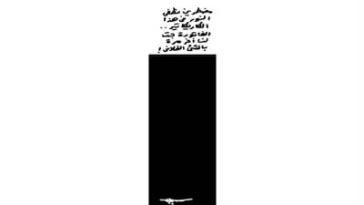 كاريكاتير عمرو سليم