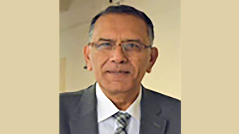 المتحف المصرى الكبير.. الحلم والواقع